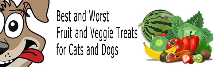 fruit-and-veggie-treats-for-cats-and-dogs